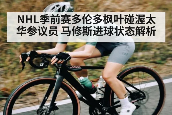 NHL季前赛多伦多枫叶碰渥太华参议员 马修斯进球状态解析 | kaiyun