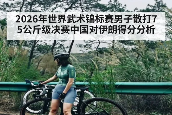 2026年世界武术锦标赛男子散打75公斤级决赛中国对伊朗得分分析 | kaiyun
